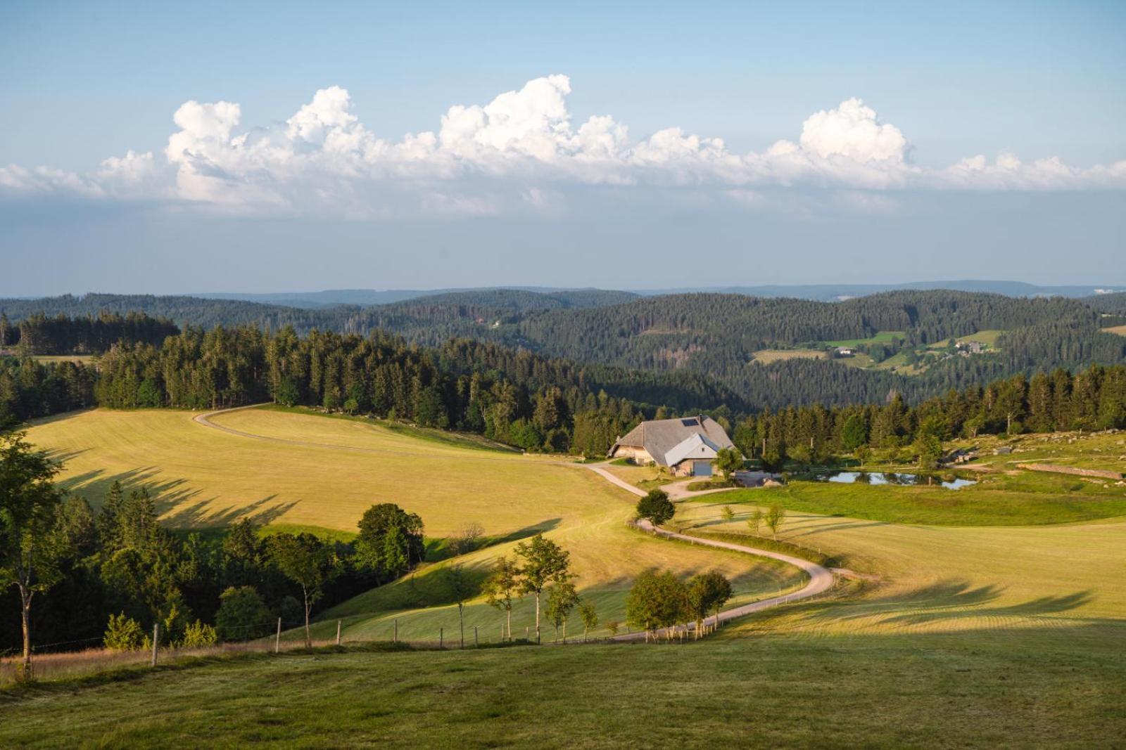 Landhaus Panoramablick Schonach im Schwarzwald Exterior foto
